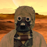 RaiderNick